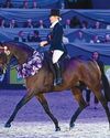 Mixed reaction to changes to HOYS championships