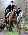 Noah's hounds Noah's hounds