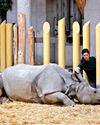 Training techniques for zoo animals could have benefits for horses