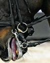 Double bridle welfare concerns raised in top dressage horses