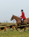 'This unspoilt hunting heaven