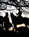 Call for Government to review hunting & legislation