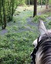 Delight as paid-for riding permits axed Delight as paid-for riding permits axed