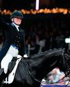 Top stud withdraws from dressage as equine welfare work continues Top stud withdraws from dressage as equine welfare work continues