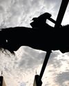 Governing bodies crack down on editing sport horses' genes Governing bodies crack down on editing sport horses' genes