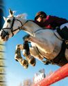 Equestrian business uncertainty owing to Trump's import tariffs Equestrian business uncertainty owing to Trump's import tariffs