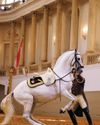 Spanish Riding School rider Spanish Riding School rider
