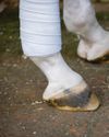 Going barefoot Going barefoot