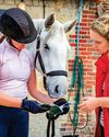 Do horse sellers get the raw end of the deal in law? Do horse sellers get the raw end of the deal in law?