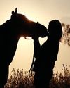 A safe space for rider mental health in the horse world A safe space for rider mental health in the horse world