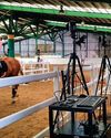Biomechanics tech could help safety and rider rehab in future Biomechanics tech could help safety and rider rehab in future