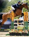 Lamb's victory comes Out Of The Blue19