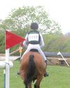 Study on horse deaths in eventing shows falls not the only risk factor1