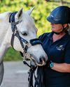 Vets to wear helmets at work to improve safety3