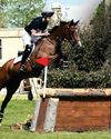 Fitzgerald scores Super win Fitzgerald scores Super win15