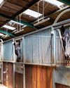 Costs and viability are key to the future of livery yards Costs and viability are key to the future of livery yards4