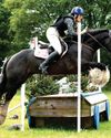 Gypsy cob wins his debut Gypsy cob wins his debut