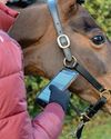 The equestrian tech helping save businesses time and money The equestrian tech helping save businesses time and money