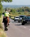 Just the start as horse and rider road safety backed in parliament Just the start as horse and rider road safety backed in parliament