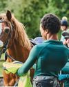 Horse world's challenges and resilience Horse world's challenges and resilience4