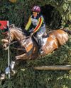 Thoroughbreds just as good at the top of eventing, study finds Thoroughbreds just as good at the top of eventing, study finds2