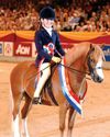 Horses that made me9