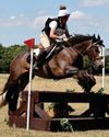 Horse & Hound