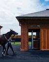 Horse & Hound