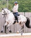 Horse & Hound