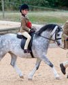 Home-bred glory Home-bred glory9