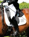 Double bridles could be banned for juniors and optional at CDI3* Double bridles could be banned for juniors and optional at CDI3*2