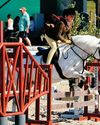 Magic Moonie Horse & Hound