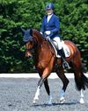 Multiple wins for Lucas' horses Horse & Hound