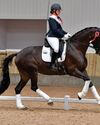 Quirky mare comes good Quirky mare comes good29