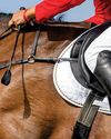 Blood rules a focus in jumping and new whip rule proposed Blood rules a focus in jumping and new whip rule proposed0