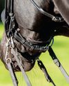 Horse & Hound