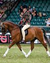 Horse & Hound