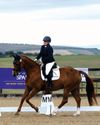 Horse & Hound