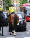 Police horses and stables to be lost in budget cuts Police horses and stables to be lost in budget cuts4