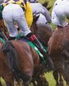 The professionals perception of risk in horseracing The professionals perception of risk in horseracing5
