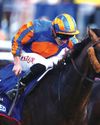Ice-cool Scandinavia is St Leger hero22
