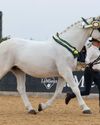 Supreme glory for Abbey21