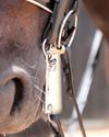 Double bridles and nosebands are back in the spotlight again1