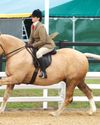 Henry goes for gold20