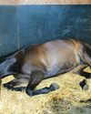 Cover for colic has not kept pace with inflation3