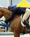 New schemes to help connect the dots once horses leave racing4
