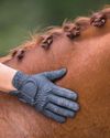 Showing the public that our horses can enjoy sport0