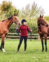 'My all-time favourite horse'10