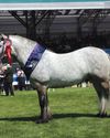 McGregor Of Millfield10