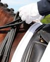 Dressage releases its first equine welfare plan stats4